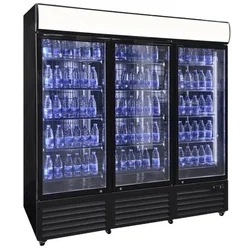 Kühlvitrine mit Glas 2000L Frost RB-1985H 5905440405949