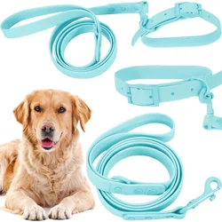 Laisse et collier pour chien PJ-078 bleu L