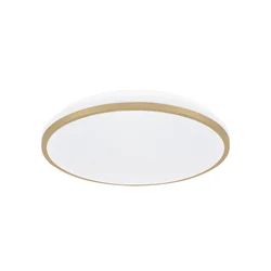 Lampada da soffitto LED SMD LINUS LED C 12W NW