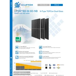 LEAPTON LP182-M-60-NB 480W Full Black, double verre, BIfacial, Topcon, type N
