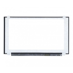 LED display for Laptop PAN0121