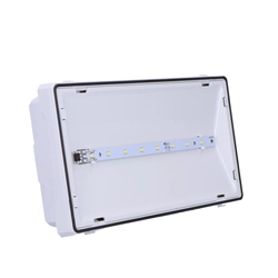 Luminaire EXIT S IP65 DIRIGÉ1W 1h à usage unique PT blanc