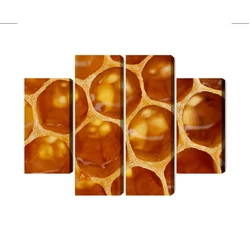 Makro Měřítko Vícedílné Honeycomb Image