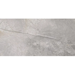 Masterstone Srebrna kamenina Gloss 60x120 cm Cerrad