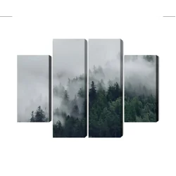 Многочастно изображение Зелена мъглива гора