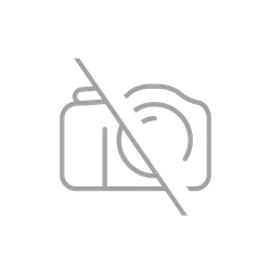 Modulo di comunicazione Solplanet Ai-Dongle_4G-WLAN.