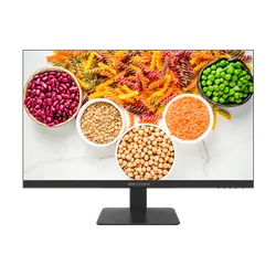 Moniteur E-LED VA, 23.8 pouces, Full HD, 100 Hz, HDMI, VGA, Haut-parleur - HIKVISION DS-D5024F2-1V2S