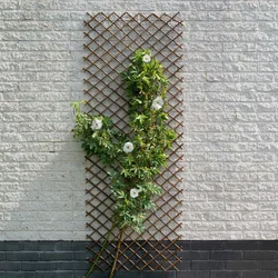Nature Garden Spalier, 60x180 cm, Naturgeflecht, braun