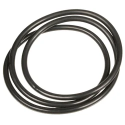 O-Ring σφραγίδα αντλίες Rato 70119-V010210-0000