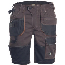 Pantalón corto DAYBORO marrón oscuro 50