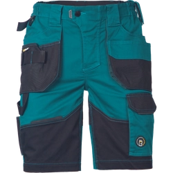 Pantalones cortos DAYBORO queroseno 64