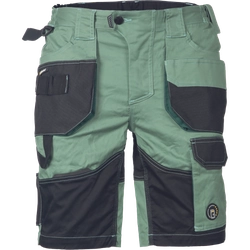 Pantalones cortos DAYBORO verde mecánico 44