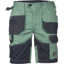 Pantalones cortos DAYBORO verde mecánico 48