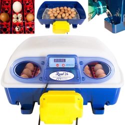Peryklos inkubatorius skirtas 24 automatinis kiaušinis su profesionaliu vandens dozatoriumi 100 Į