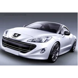 Peugeot RCZ - Benzi Cromate Ajustarea Barei de Protectie Dummy Grill