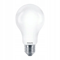 Philips LED bulb 17,5 W E27 cool white