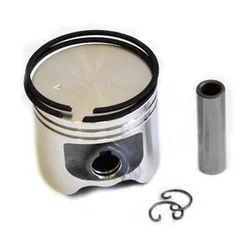 Piston Cifarelli M3A /sprayer/ set. 0G01900