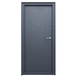 Porte extérieure métallique Tracia Tissia, gauche, gris anthracite RAL 7016,205x88 cm