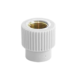 PP-Stecker mit Messing GW 40/1''