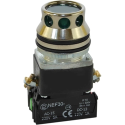 Pulsante Promet Control 30mm verde con ritorno a molla con retroilluminazione 2Z 24V (W0-NEF30-KL 2X Z)