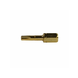 Punta de destornillador torx Makita 25 mm | 1/4 punta torx 2 piezas