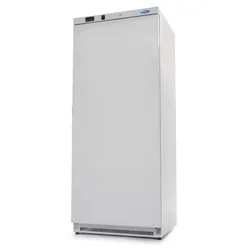 Refrigerated cabinet - 600 l - 4 Adjustable shelves - WHITE