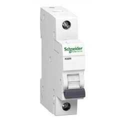 Schneider Electric har angivet 1P C 25A 6kA AC K60N - A9K02125