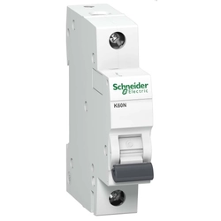 Schneider Electric har valt 1P B 25A 6kA AC K60N - A9K01125