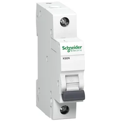 Schneider Electric har valt 1P C 10A 6kA AC K60N A9K02110