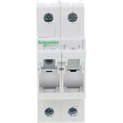 Schneider Electric Lastscheider met zekeringen D01-16-1N MGN01616