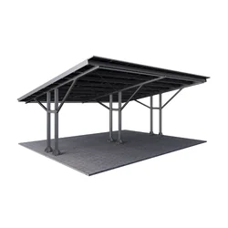 Schuppen / Carport T2 mit Struktur für PV (Abstand der Stützen 5m)