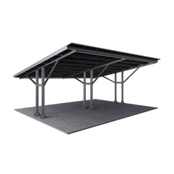 Sheds / Carport T2 with structure for PV (Spacing of supports 5m)
