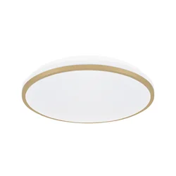 SMD LED ceiling lamp LINUS LED C 18W NW