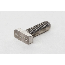 Stainless screw M10x25 T