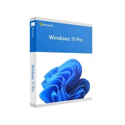 SW RET WIN 11 PRO FPP 64B/ENG USB HAV-00163 MS