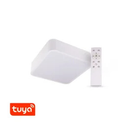 T-LED SMART Tuya λαμπτήρας LED RENDO 24W CCT γωνιακό λευκό Παραλλαγή: SMART Tuya λαμπτήρας LED RENDO 24W CCT γωνιακό λευκό, Light_Color: CCT