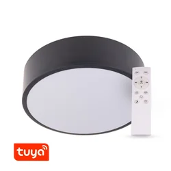 T-LED SMART Tuya Λυχνία LED RENDO 48W CCT στρογγυλή μαύρη Παραλλαγή: SMART Tuya λάμπα LED RENDO 48W CCT στρογγυλό μαύρο, Light_Color: CCT