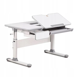 Toru Gray - Cubby adjustable school desk