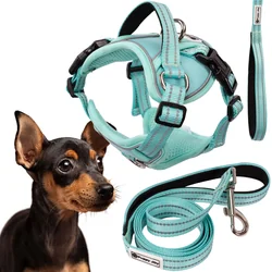 Trela ​​e arnês para cães PJ-053 verde S