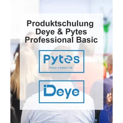 Usposabljanje za izdelke Deye & Pytes “Professional Basic”