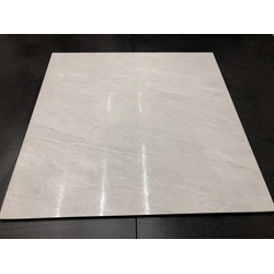 WHITE GRAY frost resistant rock 60x60 as STONE