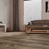 Oak Cracovia AC5, D 4923 laminate flooring