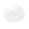 Emergency Eye N/T Starlet Round LED 1,5W SO 250 A 3H MT IP20