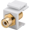 Keystone connector extension of the RCA-F cable white