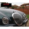 1999-2008 JAGUAR S-TYPE S TYPE - Chrome strips on the grill, chrome on the grille