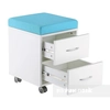 A functional container on wheels SHELF SS15W Blue