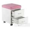 A functional container on wheels SHELF SS15W pink