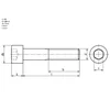 Allen screw M8*20mm