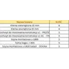 Aluminum ballast structure vertical modules with additional photovoltaic rail