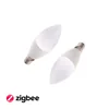 Ampoule T-LED SMART LED E14 Zigbee RGBCCT ZB5W Variante : RGB + Blanc chaud, Light_Color : RGBCCT